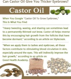 Your Beauty Tree ® Wimper Serum Met Echte Castor Olie |100% Natuurlijke Wimpergroei| Castor Oil Eyelash Serum|Wonder Olie | Wimper Groei | Wenkbrauw Serum | Lash Serum | Wimper Groeimiddel -Cosmeticawinkel 1075x1200 1