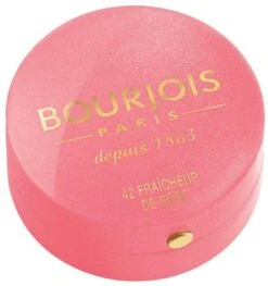 Bourjois Little Round Pot Blush - 10 Brown 29 Bourjois Little Round Pot Blush - 10 Brown -Cosmeticawinkel 1129x1200 3