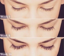 Lanthome Wimperserum - Met Castor Olie 12 Lanthome Wimperserum - Met Castor Olie -Cosmeticawinkel 1200x1056 1