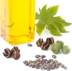 Lanthome Wimperserum - Met Castor Olie 11 Lanthome Wimperserum - Met Castor Olie -Cosmeticawinkel 1200x1185 1