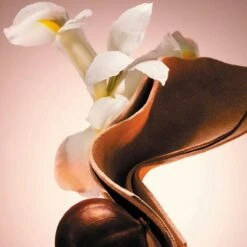 Hugo Boss The Scent Le Parfum Eau De Parfum 100 Ml -Cosmeticawinkel 1200x1200 1460