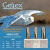 Gellex - SET Absolute Builder Gel In A Bottle #18 ''Asteria'' - Starterspakket 3x18ml - Gel Nagellakset -Cosmeticawinkel 1200x1200 673