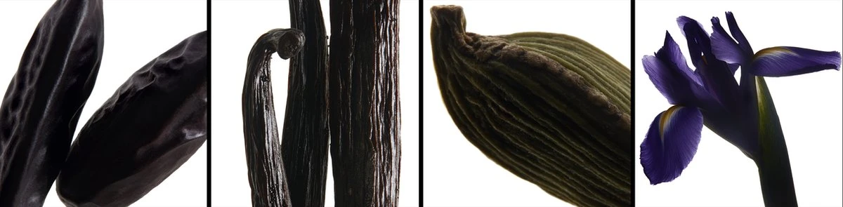 Yves Saint Laurent La Nuit De L'Homme Eau De Toilette Spray 40 Ml 7 Yves Saint Laurent La Nuit De L'Homme Eau De Toilette Spray 40 Ml - Afbeelding 5