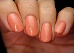 Pink Gellac - Nude Orange - Gellak - Vegan - Oranje - Glanzend - 15ml -Cosmeticawinkel 1200x859