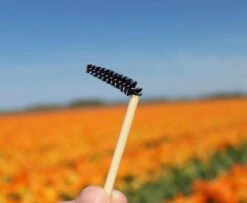 Natural Shaper Brow Soap Met Bamboo Brush – Browsoap - Wenkbrauwgel Met Langdurig Effect – Veilig En Natuurlijk – Brow Shaping - Wenkbrauw Soap -Cosmeticawinkel 1200x984 2