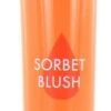 Bourjois Healthy Mix Sorbet Blush - 02 Apricot -Cosmeticawinkel 247x1200 1