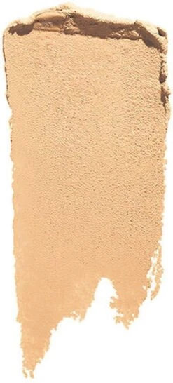 Shiseido Synchro Skin Correcting GelStick Concealer Concealermake-up 2,5 G -Cosmeticawinkel 543x1200